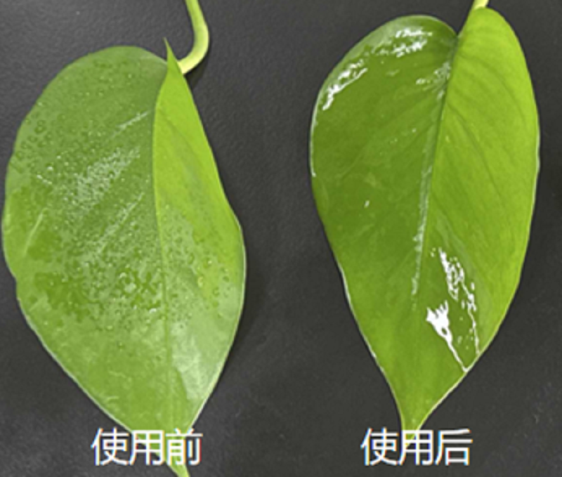 Breaking Through Hydrolysis Limitations of Agricultural Silicone Adjuvants